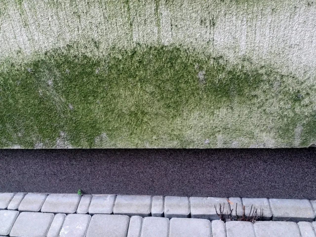 Skuteczne sposoby na to, czym zmyć glony z elewacji i jak ich uniknąć Skuteczne sposoby na to, czym zmyć glony z elewacji i jak ich uniknąć