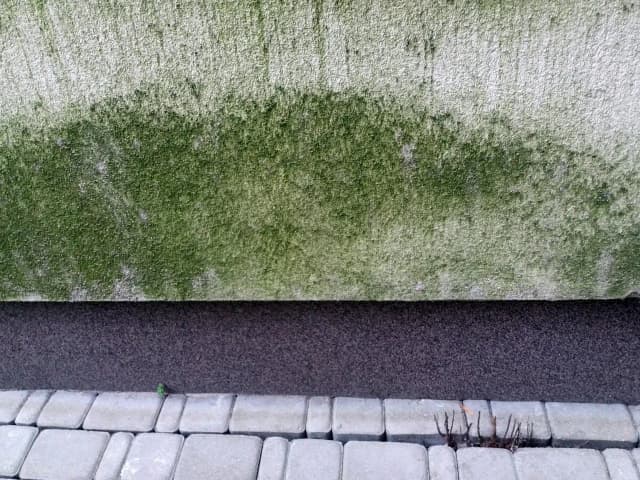 Skuteczne sposoby na to, czym zmyć glony z elewacji i jak ich uniknąć Skuteczne sposoby na to, czym zmyć glony z elewacji i jak ich uniknąć