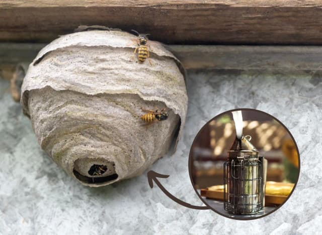 Skuteczne metody na pozbycie się os z elewacji – uniknij niebezpieczeństwa! Skuteczne metody na pozbycie się os z elewacji – uniknij niebezpieczeństwa!