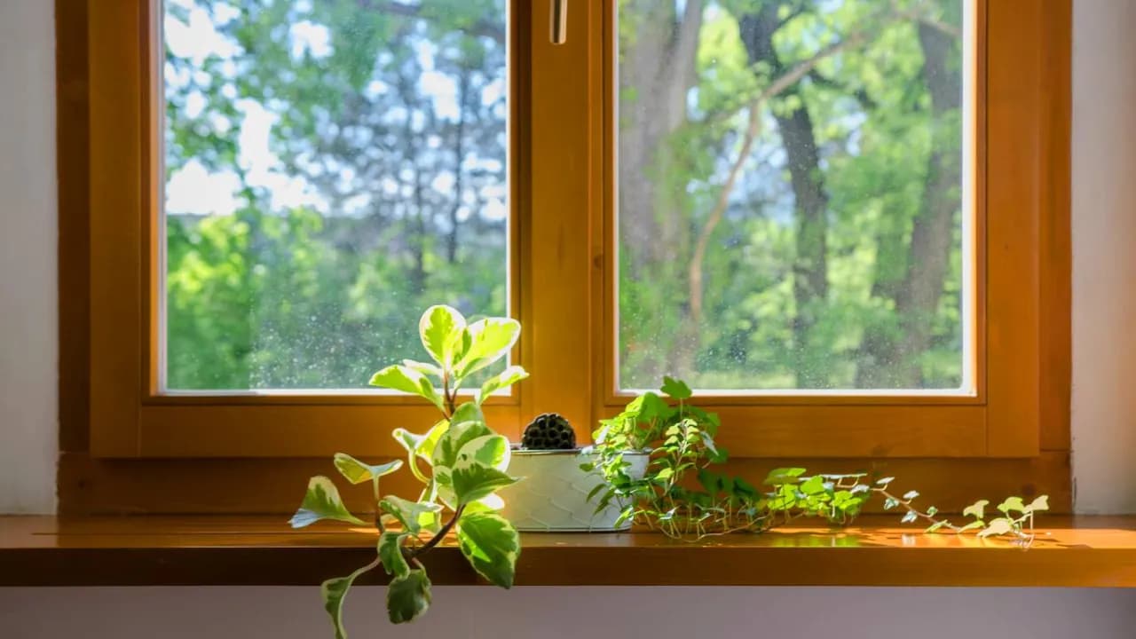 Okna drewniane czy plastikowe? Opinie, które pomogą w wyborze najlepszego rozwiązania Okna drewniane czy plastikowe? Opinie, które pomogą w wyborze najlepszego rozwiązania