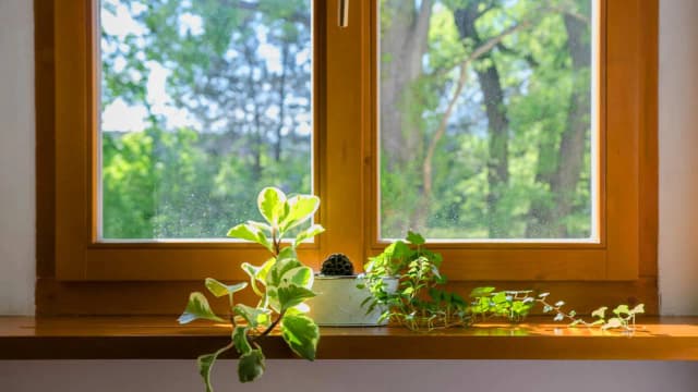 Okna drewniane czy plastikowe? Opinie, które pomogą w wyborze najlepszego rozwiązania Okna drewniane czy plastikowe? Opinie, które pomogą w wyborze najlepszego rozwiązania