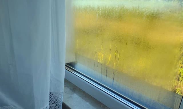 Jak skutecznie zapobiec parowaniu okien? Praktyczne porady na każdą porę roku Jak skutecznie zapobiec parowaniu okien? Praktyczne porady na każdą porę roku